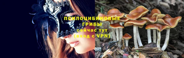 ешки Алексин