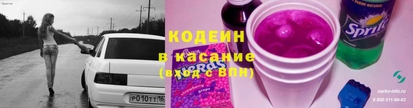 PSILOCYBIN Алзамай