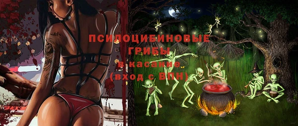 МДМА Протвино