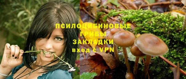 PSILOCYBIN Алзамай