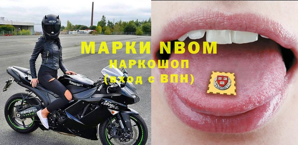 PSILOCYBIN Алзамай