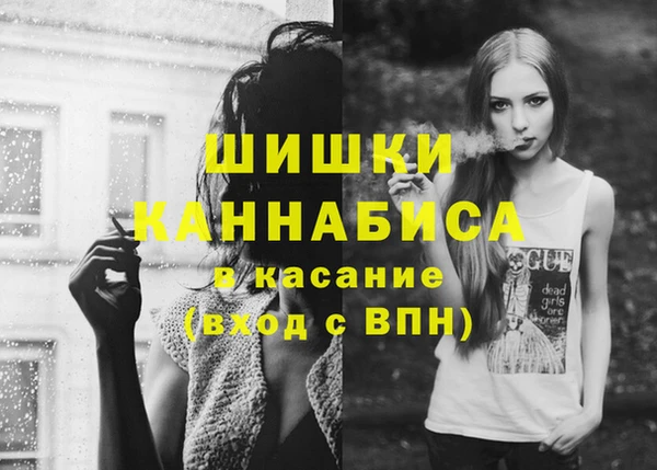PSILOCYBIN Алзамай