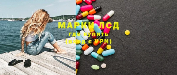 PSILOCYBIN Алзамай