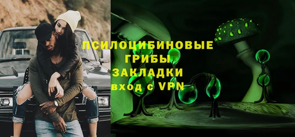 PSILOCYBIN Алзамай