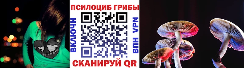 Галлюциногенные грибы Psilocybe  Покров 
